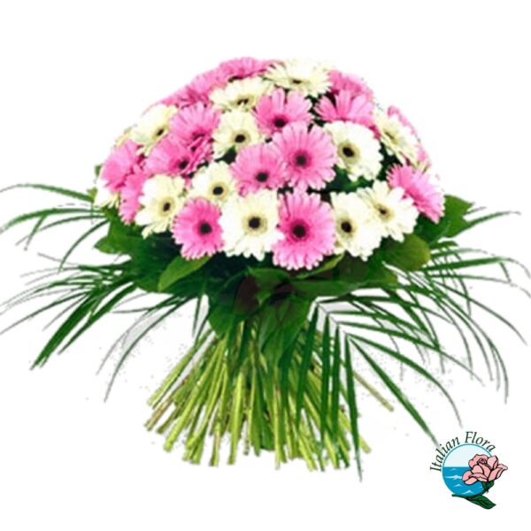 Bouquet di gerbere bianche e rosa