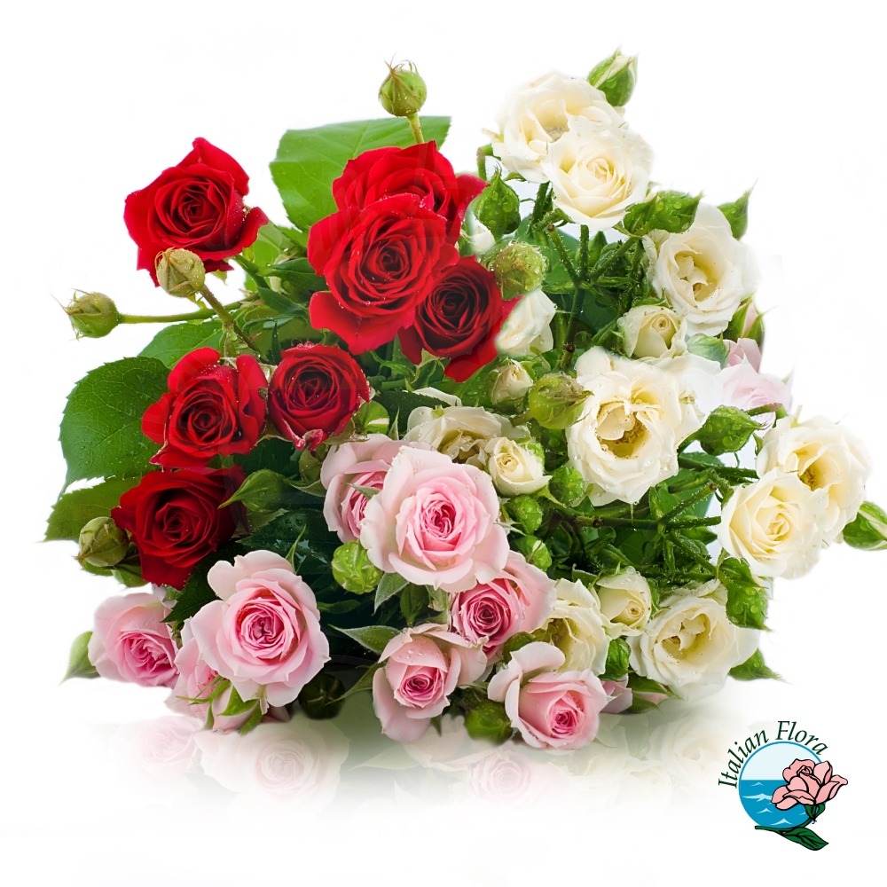 Bouquet di rose 