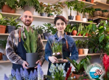 consegna fiori reggio emilia