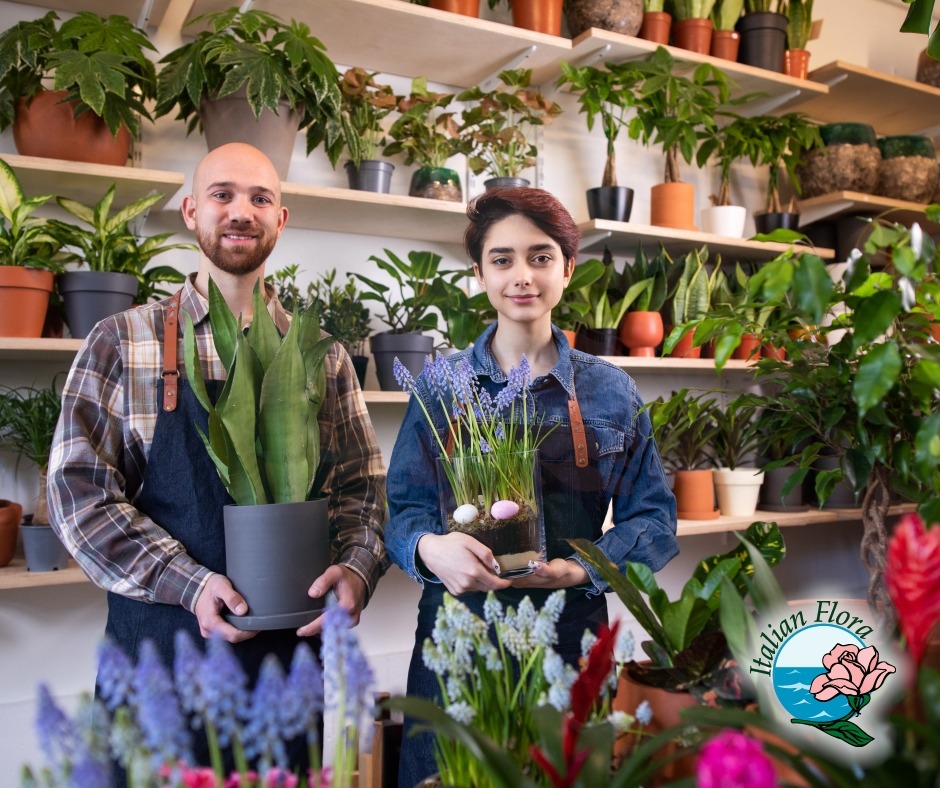 consegna fiori reggio emilia