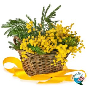 Cestino di mimosa