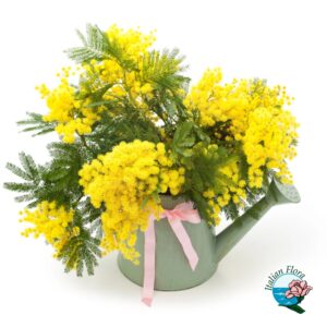 Composizione di mimose