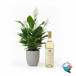 Pianta di spathyphilium con bottiglia di vino bianco