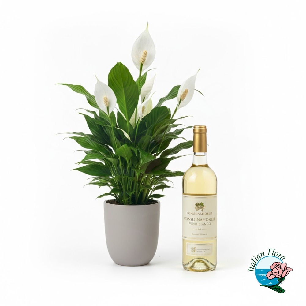 Pianta di spathyphilium con bottiglia di vino bianco Pianta di spathyphilium con bottiglia di vino bianco