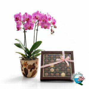 Pianta di orchidea rosa con cioccolatini